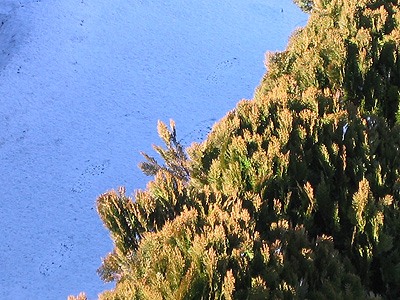 20050202_snow02.jpg