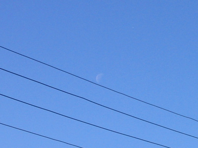 20050202_snow03.jpg